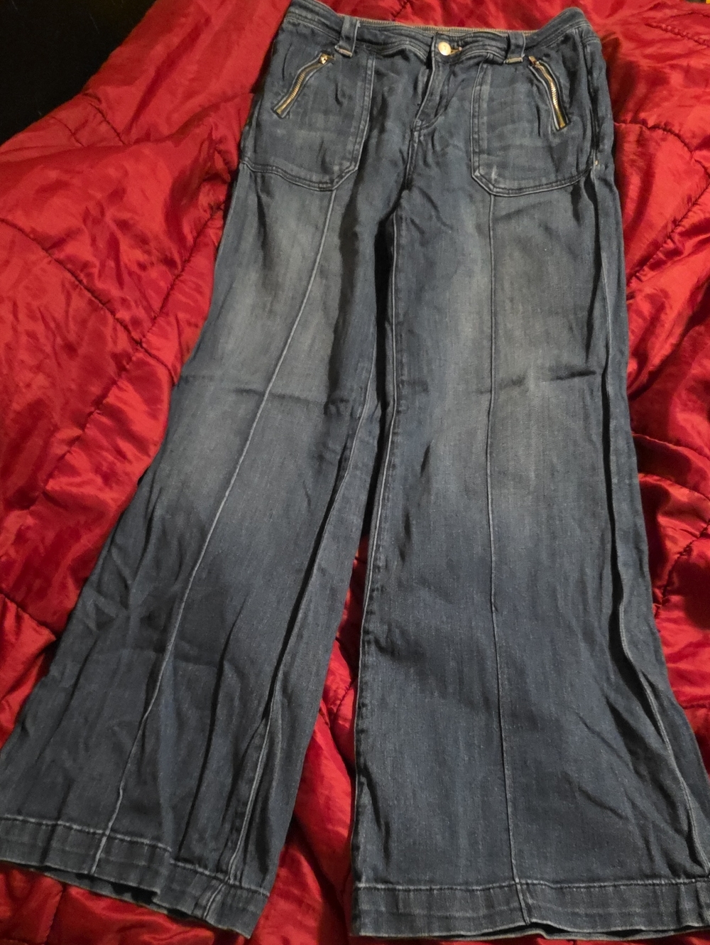 Anthropologie Pilcro and the Letterpress Wide-Leg Jeans with Zip Pockets, Sz 28